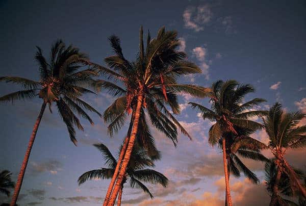 Why West Maui is the Best Place for Retirement!