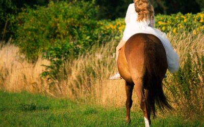 Experience Maui from a new perspective – Horseback Riding!