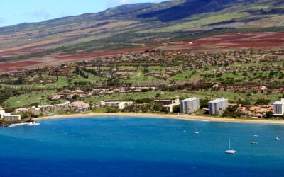 Moving to Maui!