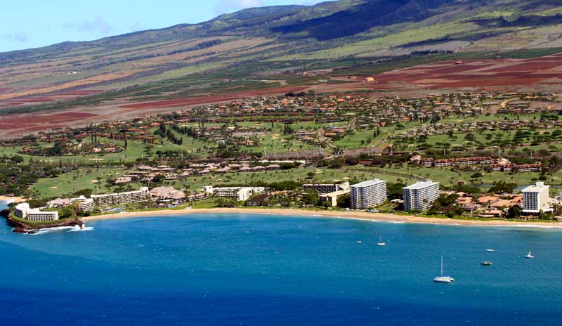 Moving to Maui!