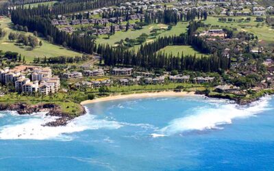 Moving to Maui
