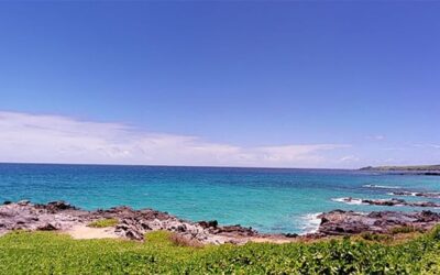 Make Your Next Home Purchase Count at the Kapalua Plantation Estates