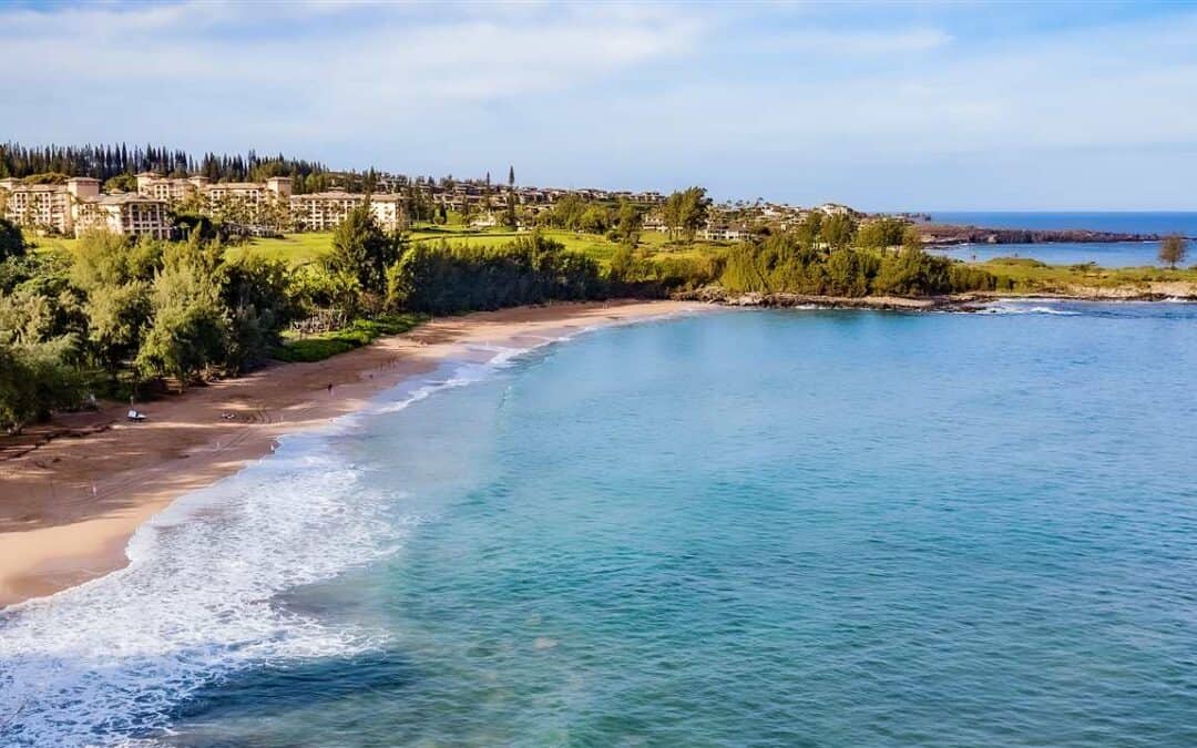 The Ultimate Guide to Maui Snorkeling: Best Spots for Families, Beginners, and Adventurous Swimmers
