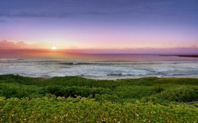 Luxury Condo Living At The Kapalua Bay Villas
