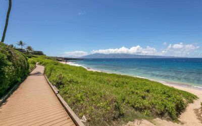 Top Maui Beaches