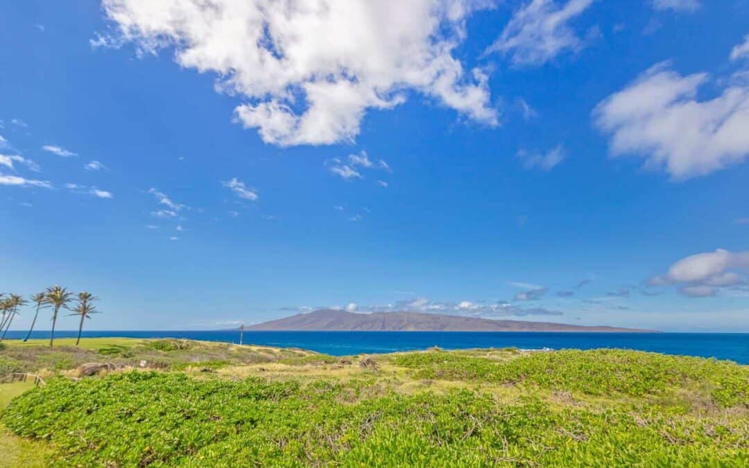 Is West Maui Real Estate a Good Investment?