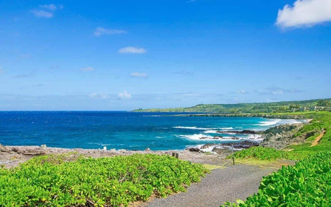 Living the Life on Maui