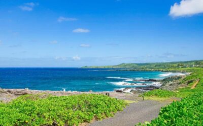 Living the Life on Maui