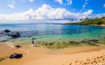 Maui’s Best Beaches