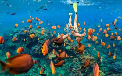 Your Ultimate Guide to Exploring Maui