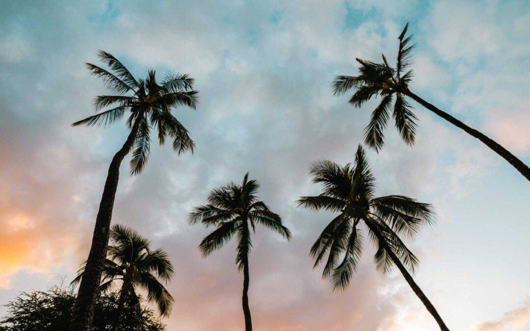 Top 3 Reasons to Live in Kapalua