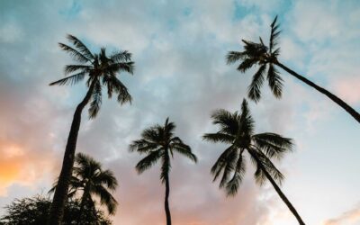 Top 3 Reasons to Live in Kapalua